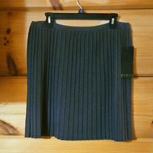 NWT Flirty Pleated Grey Skirt Size 1X